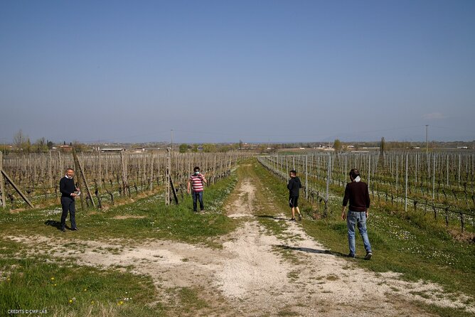 Vineyard Tour and Tasting of Lugana Wines - Cantina Ceresa: a family-run winery that stays personal