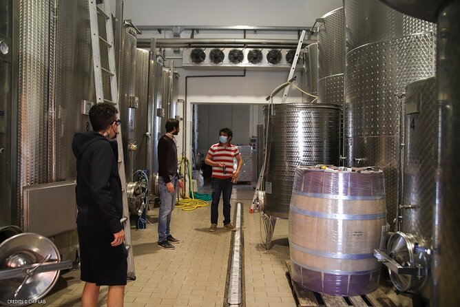 Vineyard Tour and Tasting of Lugana Wines - What you’ll taste: four wines, Lugana variety, and a DOC red