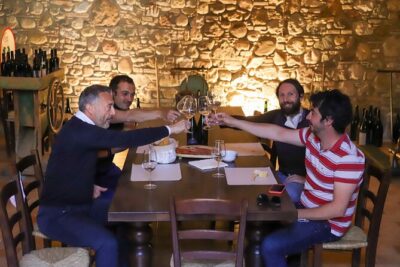 Vineyard Tour and Tasting of Lugana Wines - The 90 minutes that connect the vineyard to the glass