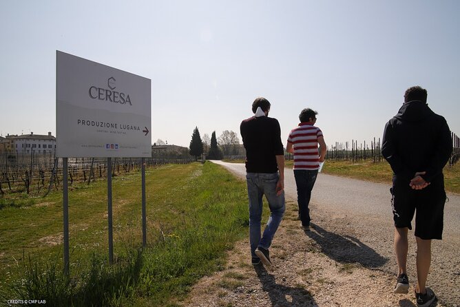 Vineyard Tour and Tasting of Lugana Wines - The guide experience: clear English and lots of real questions