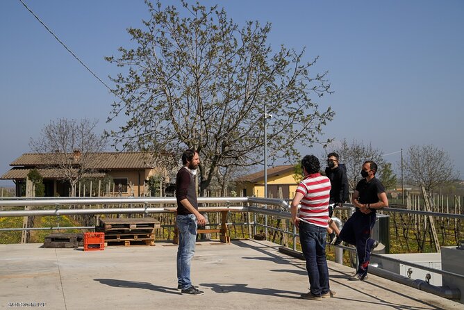 Vineyard Tour and Tasting of Lugana Wines - Who should book this Lugana tour (and who might not)