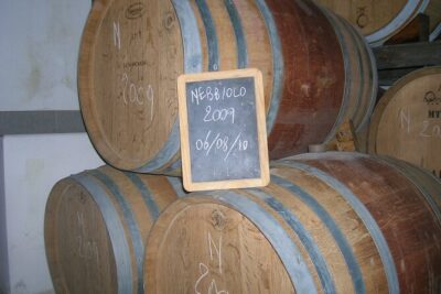 Visit and tasting of 3 D.O.C.wines Fontechiara - The cellar visit: learning the steps behind the wine