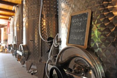 Visit and tasting of 4 D.O.C.wines Fontechiara - Inside the cellar tour: what you learn (and why it changes the tasting)