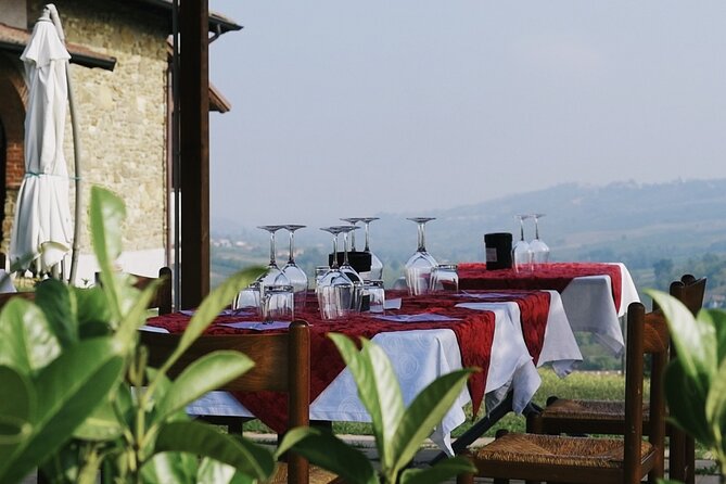 Visit winery and vineyards, tasting 4 wines with 3 matching dishes - Key highlights at Calatroni Vini (what you’ll actually care about)