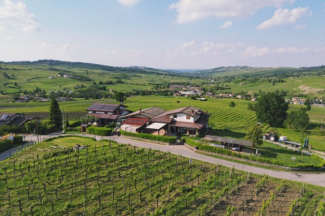 Visit winery and vineyards, tasting 4 wines with 3 matching dishes - Organic vineyards and the Via di San Colombano: getting oriented fast