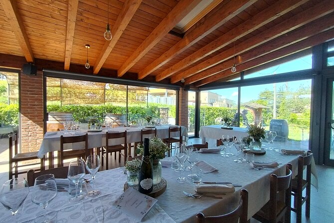 Visit winery and vineyards, tasting 4 wines with 3 matching dishes - Four wines, three matched dishes: tasting that lands with the meal