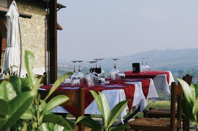 Visit winery and vineyards, tasting 4 wines with 3 matching dishes - What the hosts teach you: family business energy, not a lecture