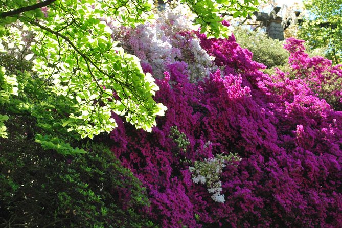 Walking tour with a private tour guide in the botanical gardens of Villa Taranto - Service details that matter once you’re in the garden