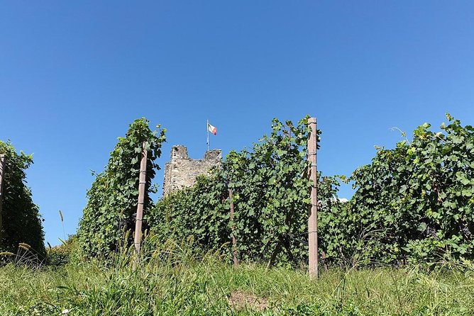 Wine and Food tasting PRIVATE Guided Tour - Why Valtellina Feels Like a Real Winelover’s Side Trip From Lake Como