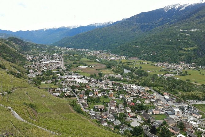 Wine and Food tasting PRIVATE Guided Tour - Stop 1 in Chiuro (Valtelline Valley): Vertical Tasting + Cellar Story