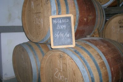 Winery Visit and Tasting of 2 D.O.C.Wines Fontechiara - Inside the cellar: history, vines, and the process before the pour