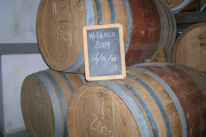 Winery Visit and Tasting of 2 D.O.C.Wines Fontechiara - Inside the cellar: history, vines, and the process before the pour